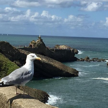 Charmant T2 Biarritz Centre Zewnętrze zdjęcie