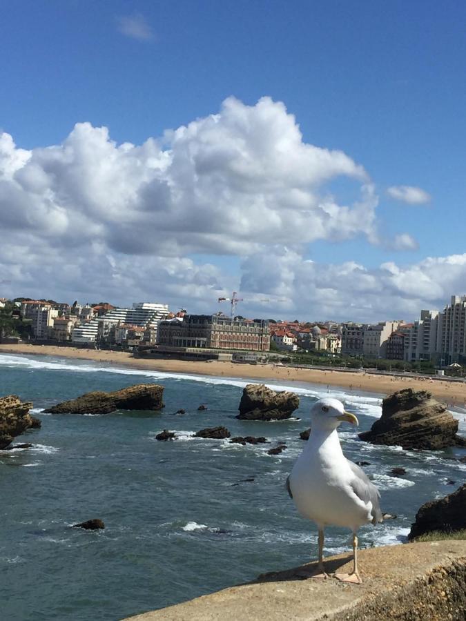 Charmant T2 Biarritz Centre Zewnętrze zdjęcie