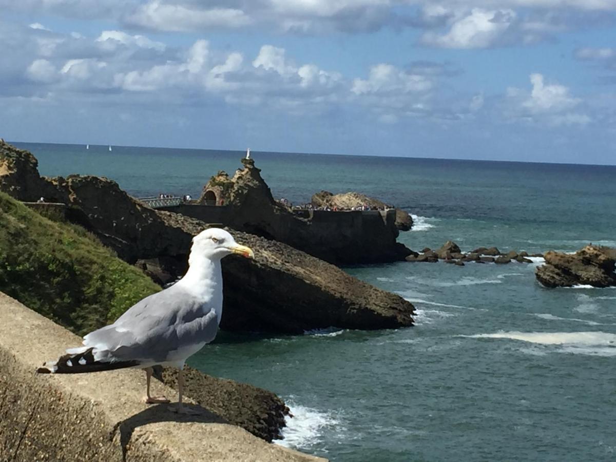 Charmant T2 Biarritz Centre Zewnętrze zdjęcie