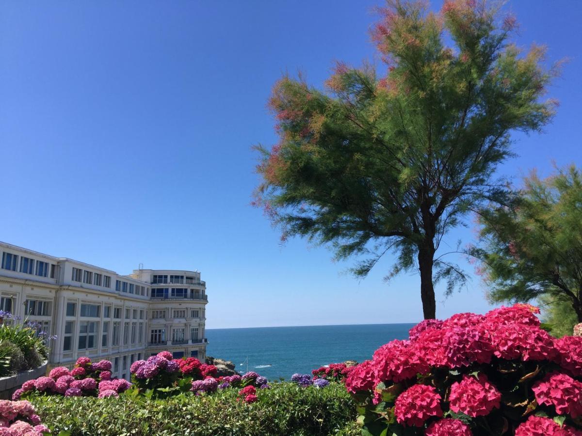 Charmant T2 Biarritz Centre Zewnętrze zdjęcie